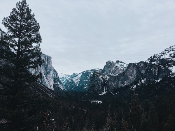 Processed with VSCO with c8 preset