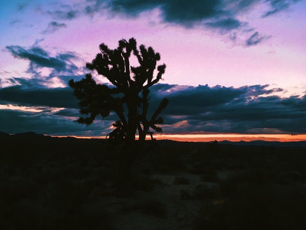 Processed with VSCO with g6 preset