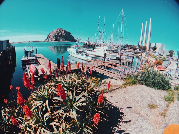 Processed with VSCO with c9 preset