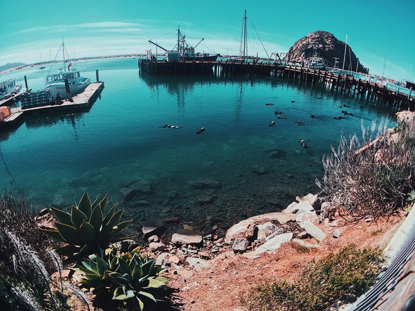Processed with VSCO with c9 preset
