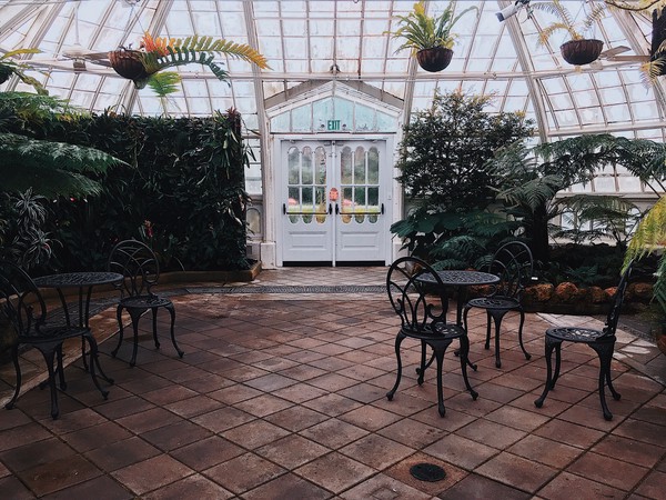 Processed with VSCO with c8 preset
